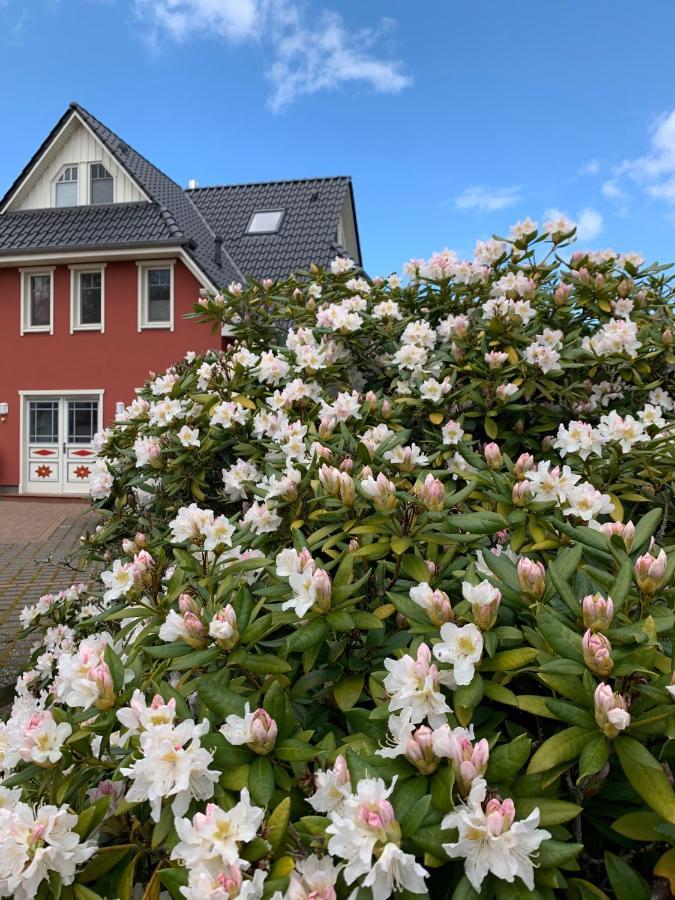 Ferienwohnung Strandgut - Kavelweg 9 - Ostseeheilbad Zingst Exterior foto