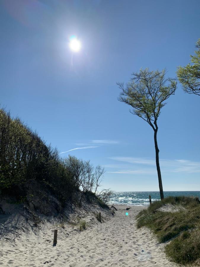 Ferienwohnung Strandgut - Kavelweg 9 - Ostseeheilbad Zingst Exterior foto